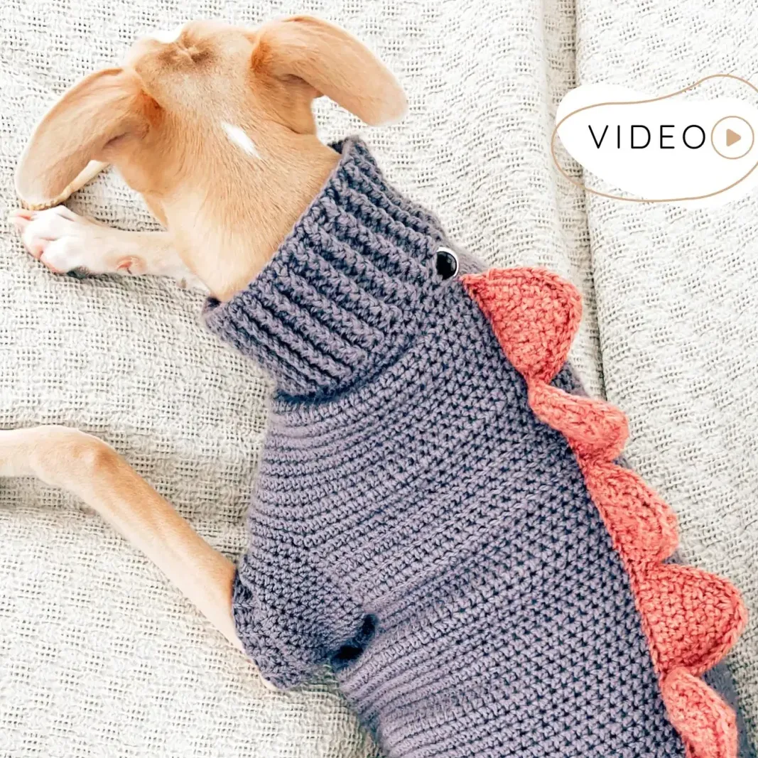 Dragon Dog Sweater