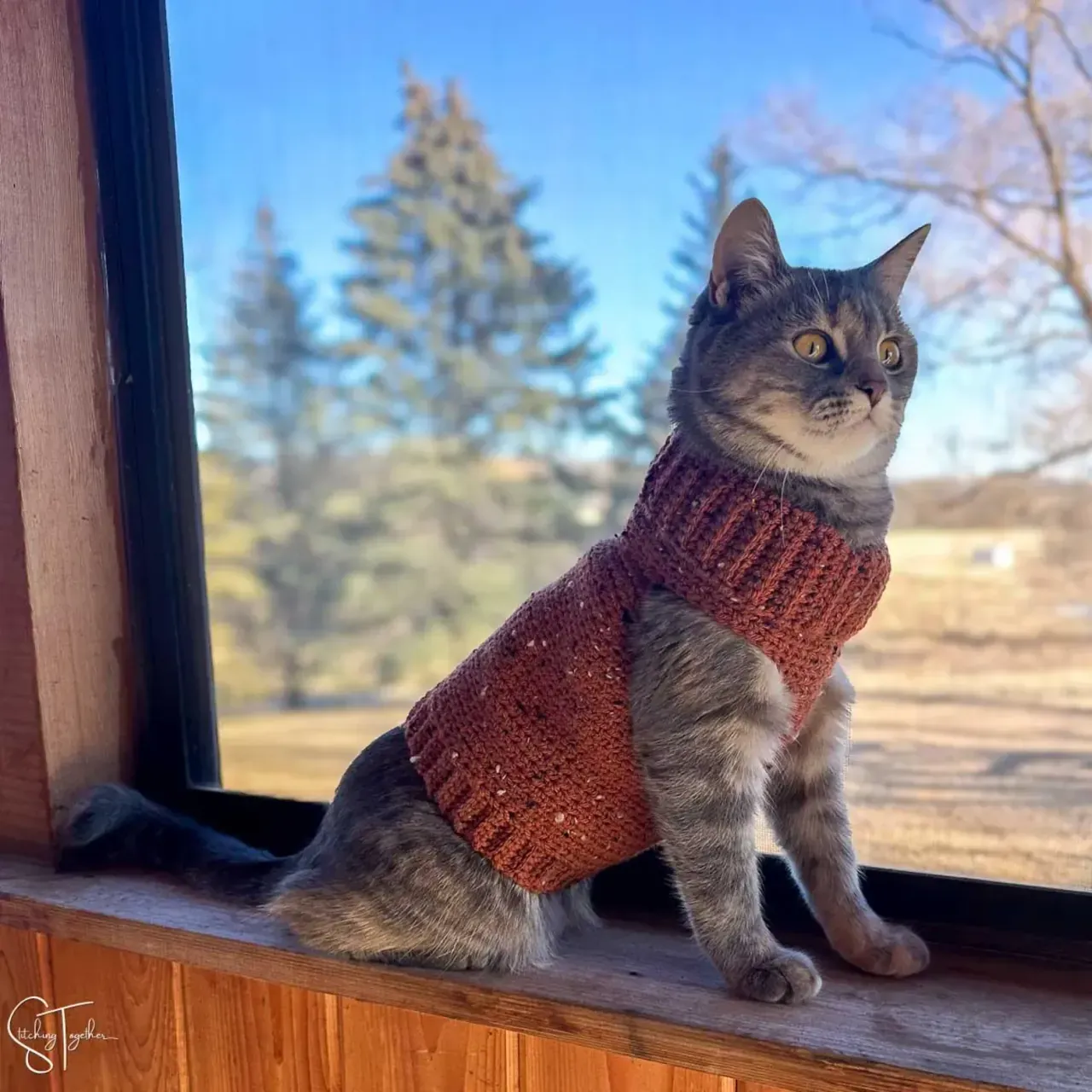 Crochet Cat Jumper
