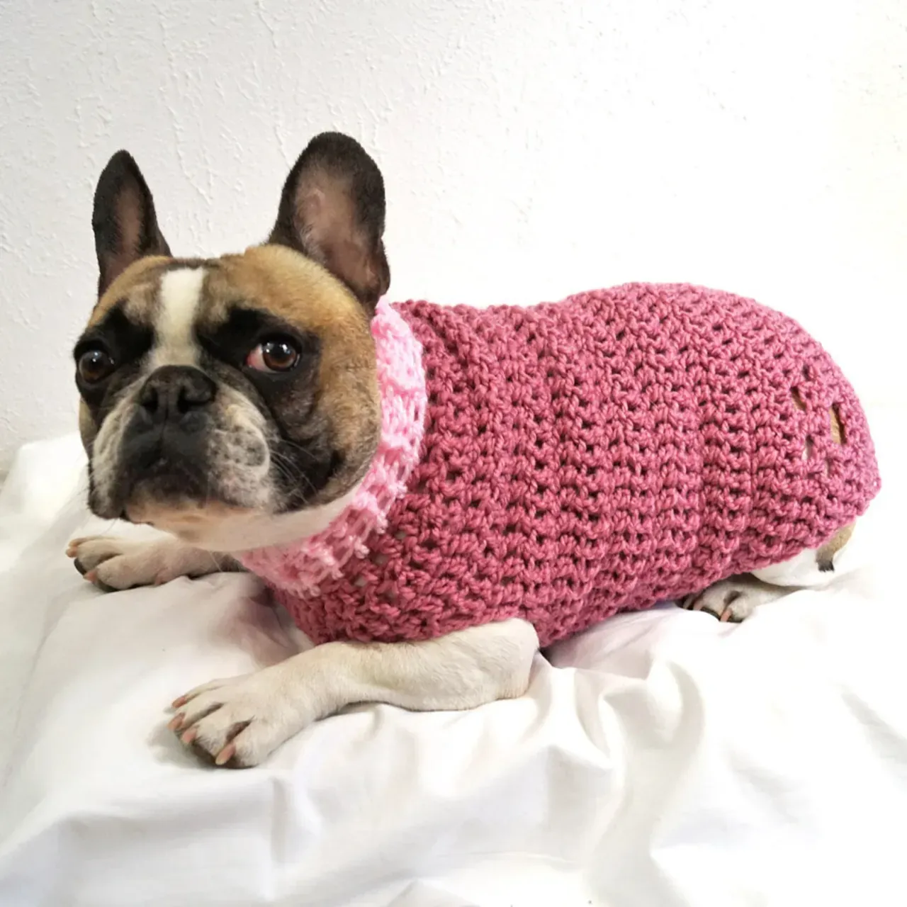 Crocheted Paw-Print Dog Jumper - pawprint dog sweater - dog clothing - pet clothing