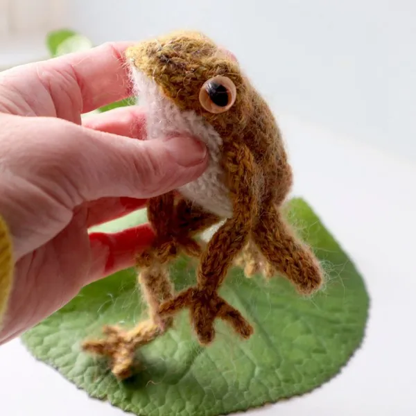 Realistic Frog Knitting Pattern