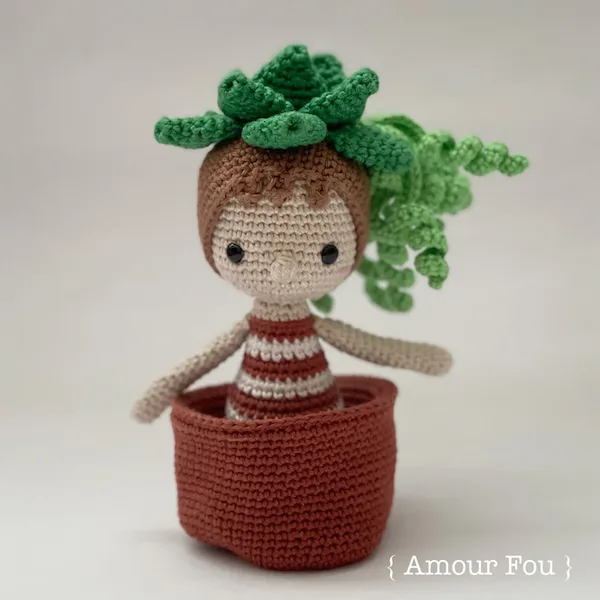 Flora The Succulent