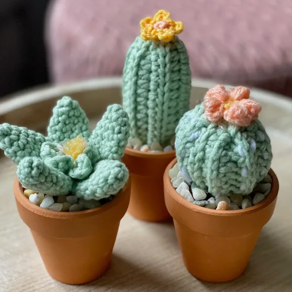 Succulent and Cacti Mini-Bundle