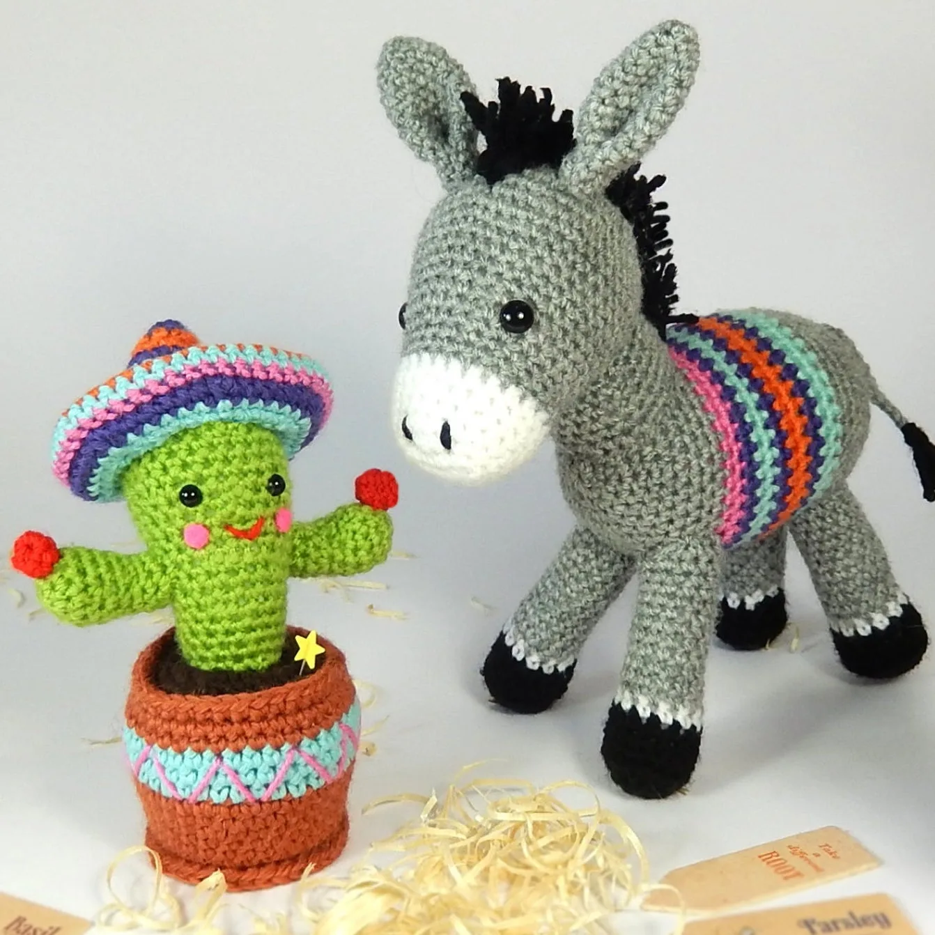 Dante The Donkey and Carlos The Cactus