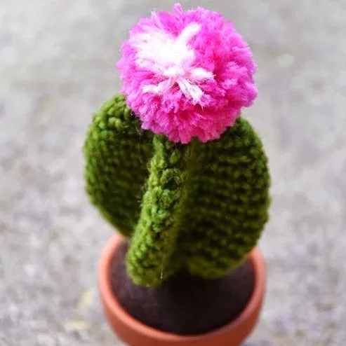 Cactus Amigurumi With a Pom Pom Flower