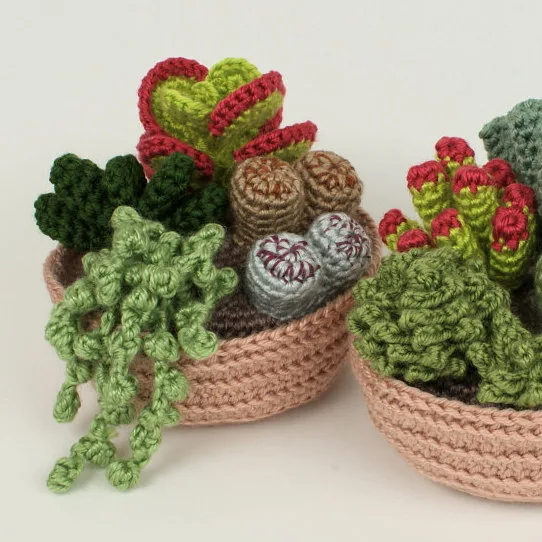 Succulents Collection - 8 Patterns