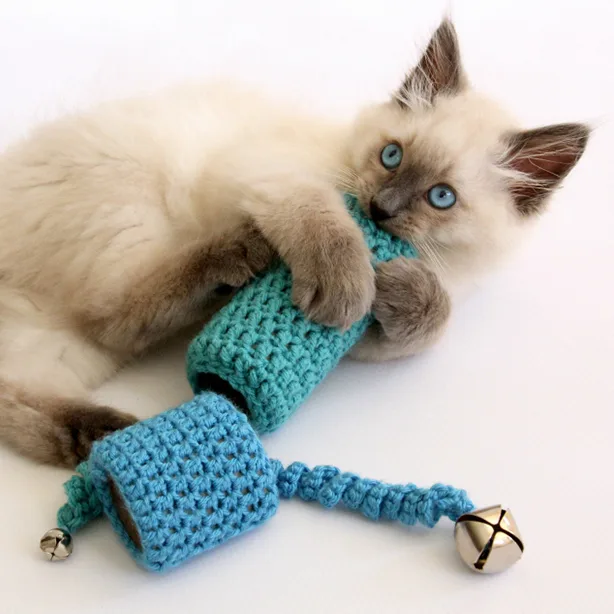 Toilet Paper Roll Crochet Toy