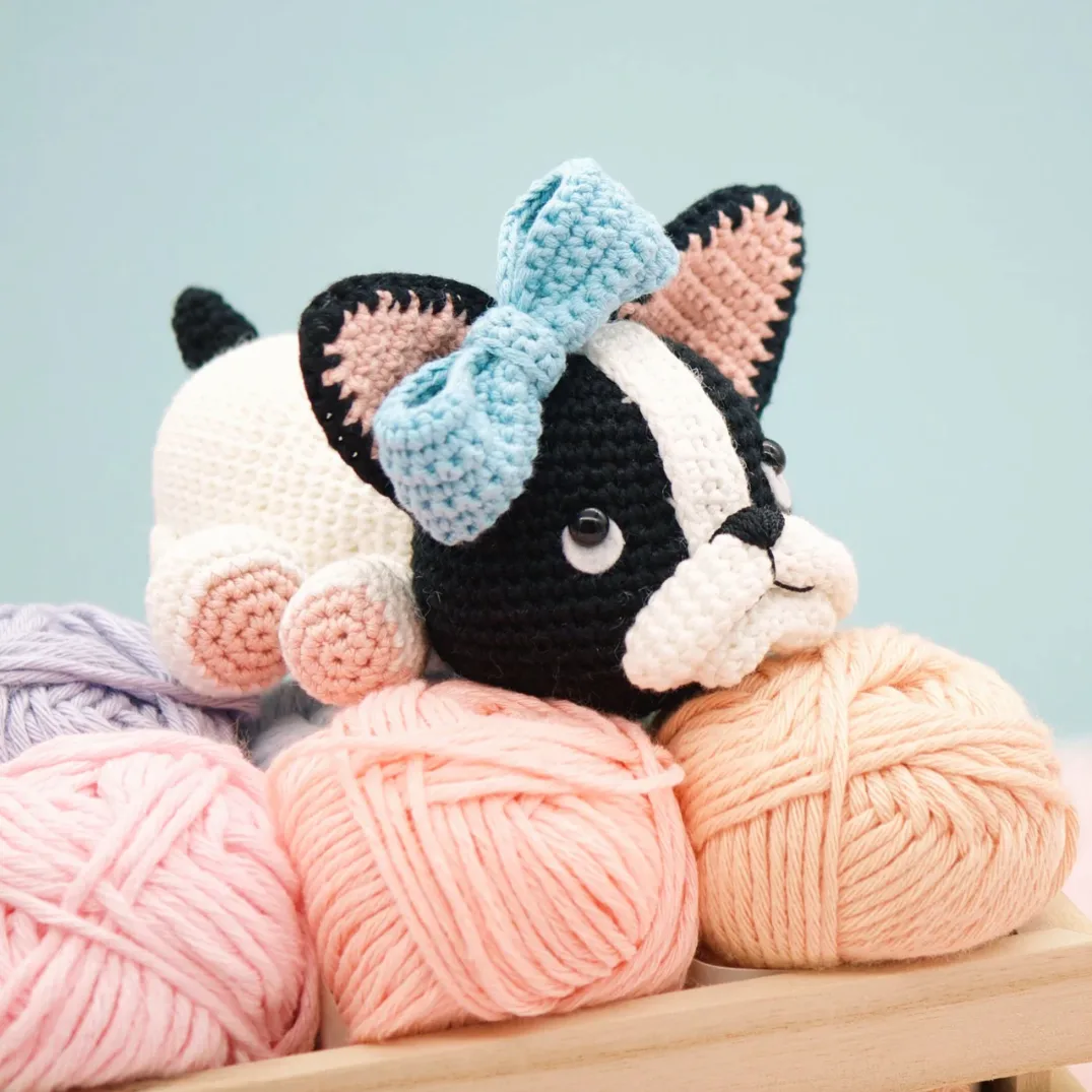 Belle The Boston Terrier