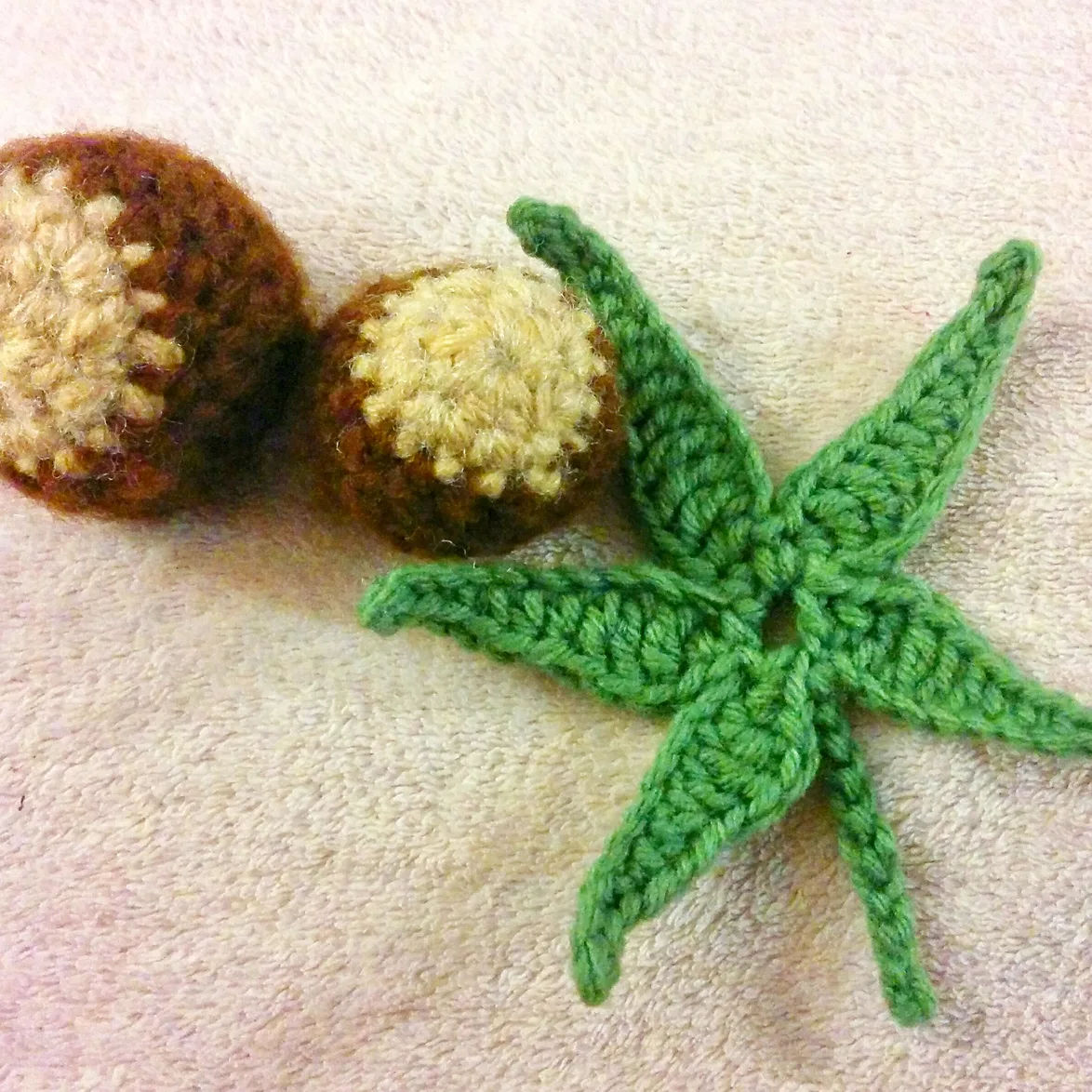 Ohio Buckeye Nut and Leaf