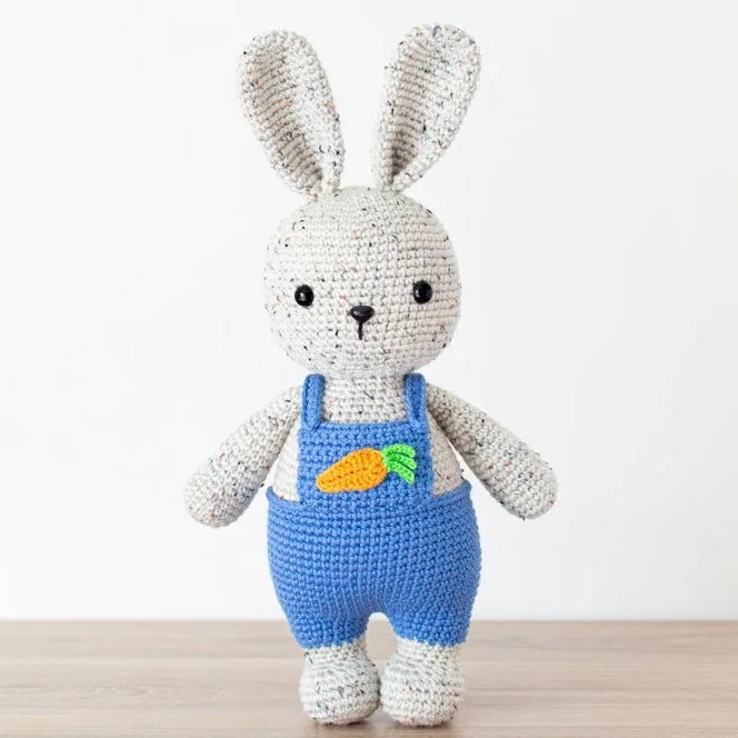 Chester The Friendly Rabbit