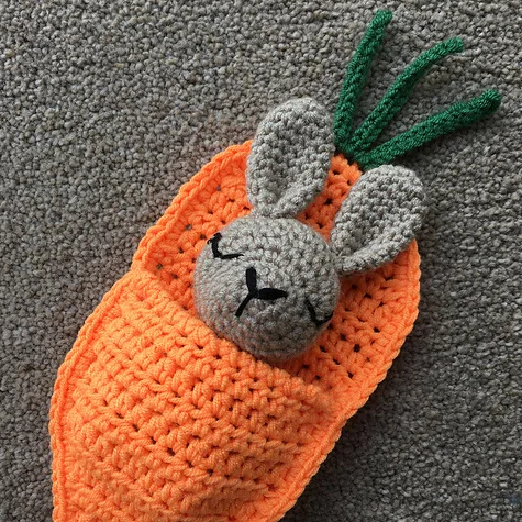 Sleeping Rabbit and Carrot