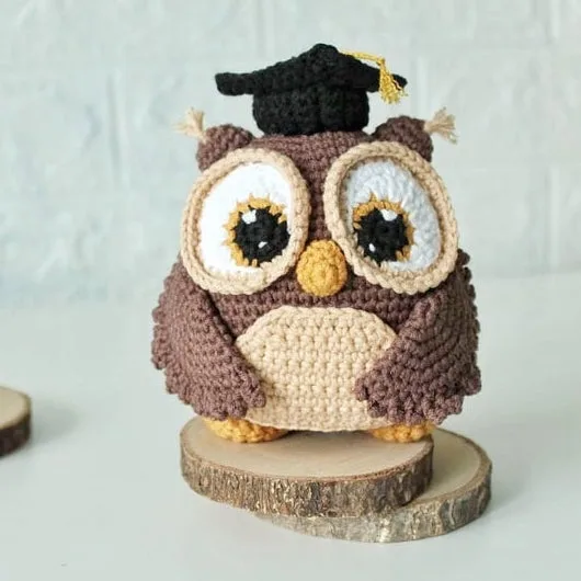 Graduation Owl