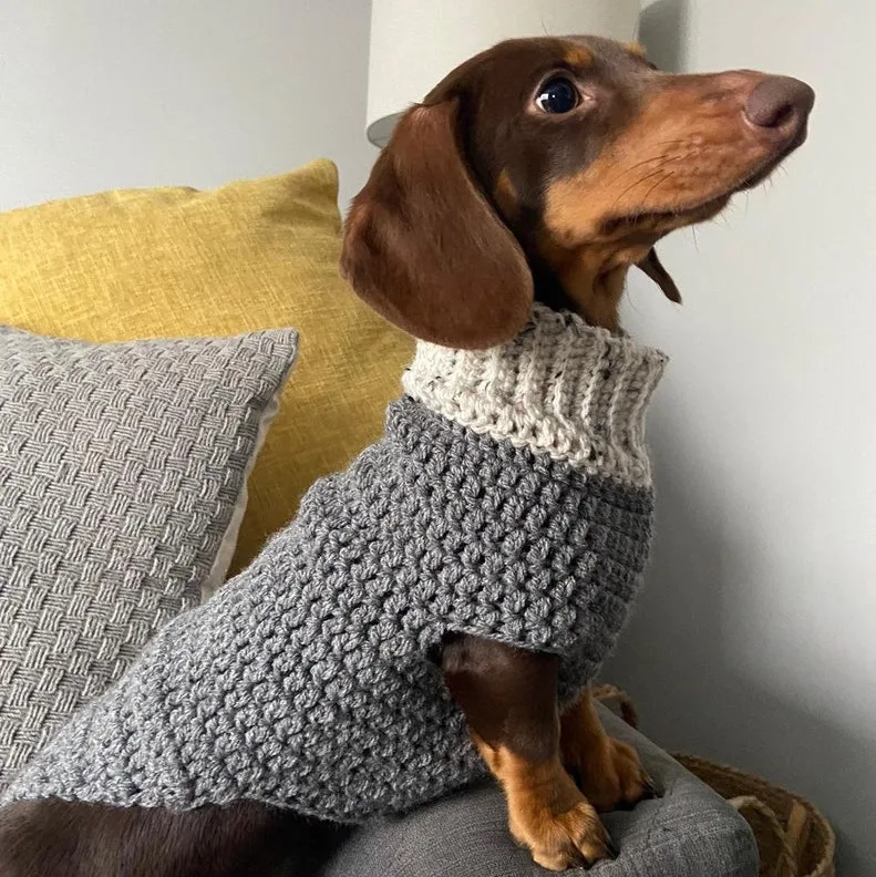 Dachshund/Small Dog Crochet Jumper