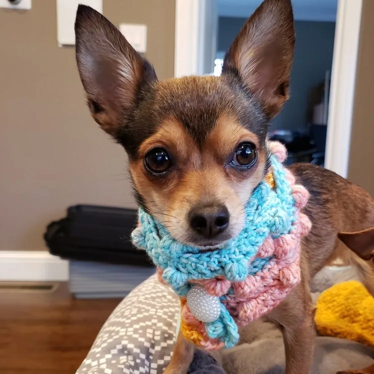 Bubble Stitch Pet Scarf