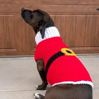 Dandy Dog Holiday Sweater Variations