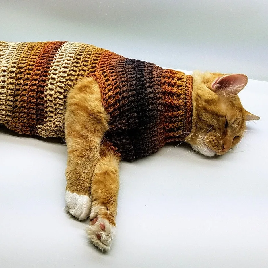 Crochet Cat Sweater Stevens