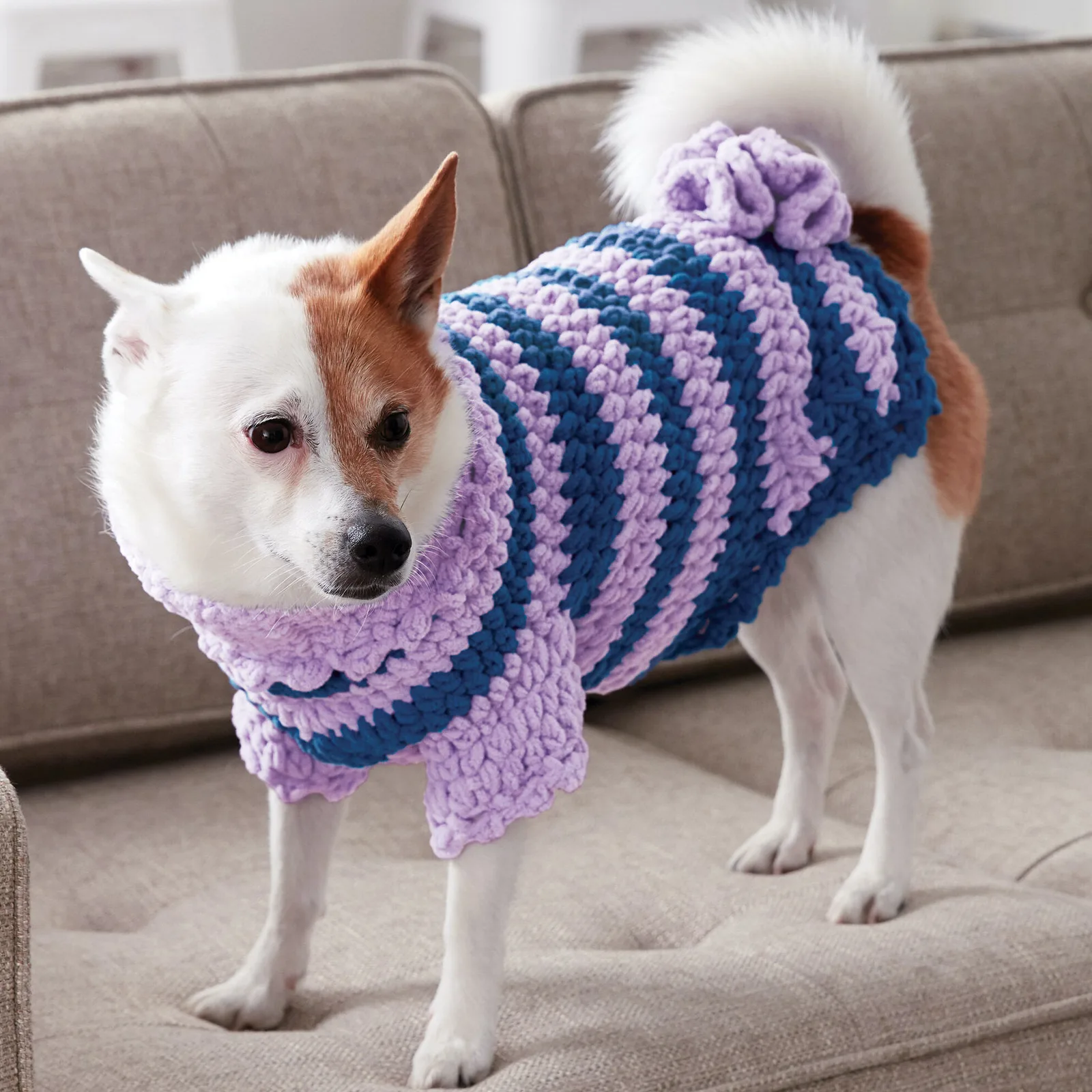 Bernat Posh Pooch Dog Coat