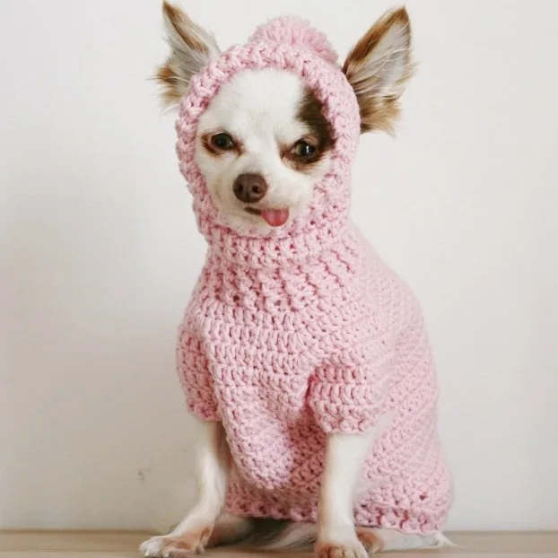 Chihuahua Sweater and Hat