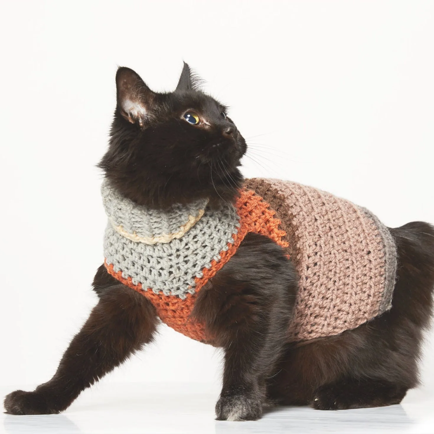Small Pet Stripy Sweater