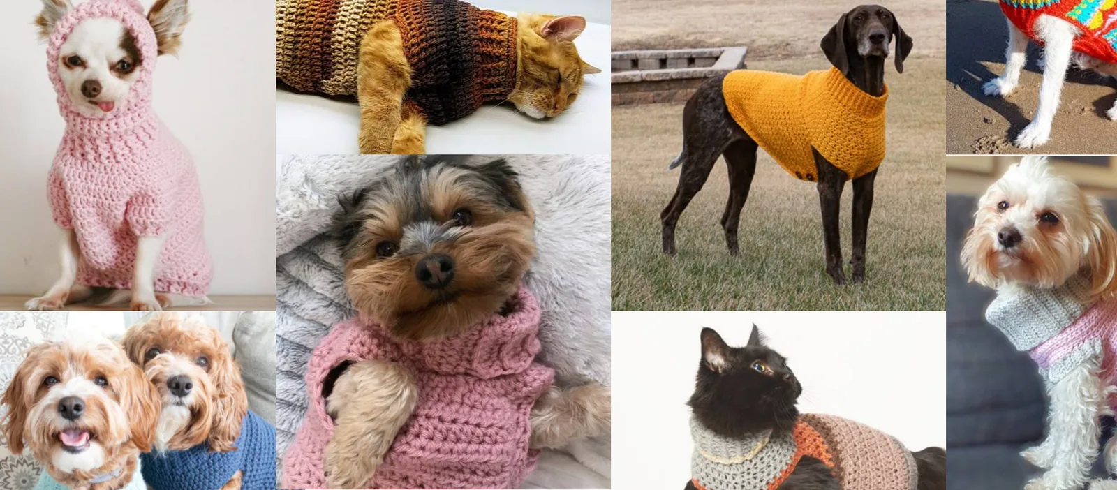 The 25 Coziest Crochet Dog (and Cat) Sweater Patterns